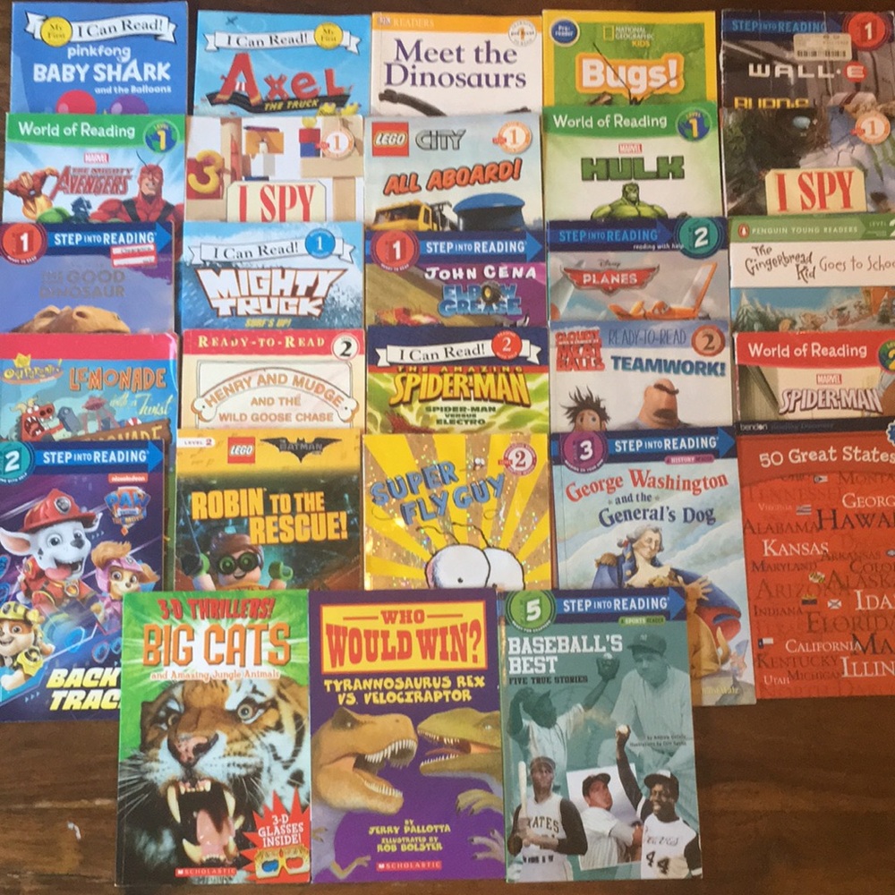 28 Mixed Lot Early Reading Level Series Book (Set of 28) Used Books
